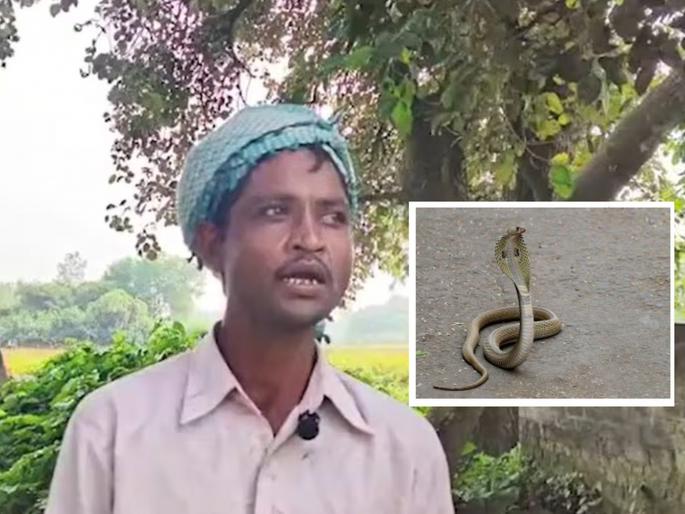 My wife gets herpes at night and..., the frightened husband directly requested DM, what is the matter? | माझी पत्नी रात्रीच्या वेळी बनते नागीण आणि..., भयभीत पतीने थेट DM यांनां केली अशी विनंती, प्रकरण काय My wife gets herpes at night and..., the frightened husband directly requested DM, what is the matter? | माझी पत्नी रात्रीच्या वेळी बनते नागीण आणि..., भयभीत पतीने थेट DM यांनां केली अशी विनंती, प्रकरण काय