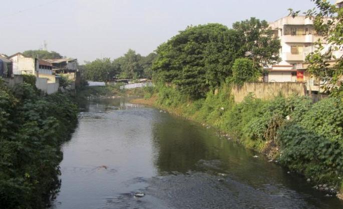 Eventually Nagpur's Nagnadi will be purified | अखेर नागपूरची नागनदी शुद्ध होणार Eventually Nagpur's Nagnadi will be purified | अखेर नागपूरची नागनदी शुद्ध होणार