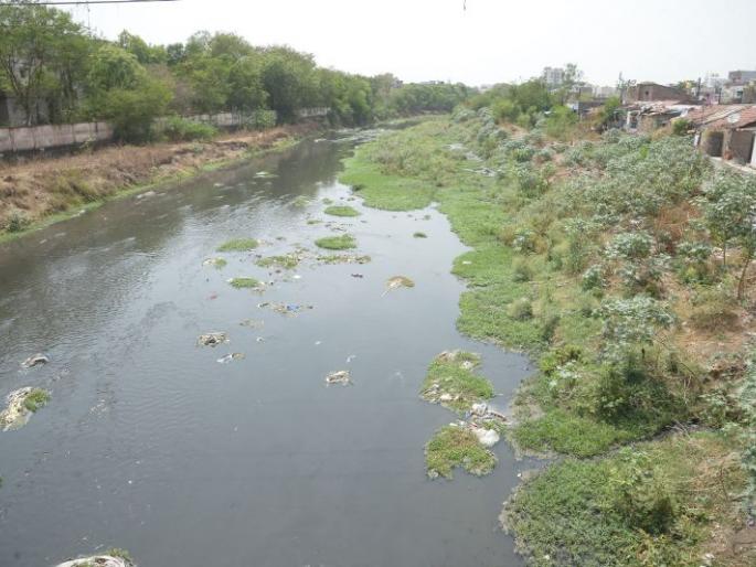 Naag nadi river,Piwali and Pora river will be cleaned: Jagar of cleanliness | नाग नदीसह पिवळी व पोराही उजळणार : स्वच्छतेचा जागर Naag nadi river,Piwali and Pora river will be cleaned: Jagar of cleanliness | नाग नदीसह पिवळी व पोराही उजळणार : स्वच्छतेचा जागर