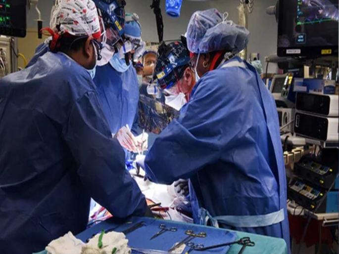 Brain dead due to falling; The father took the decision of organ donation | भोवळ येऊन पडल्याने झाले ब्रेन डेड; वडिलांनी घेतला अवयवदानाचा निर्णय Brain dead due to falling; The father took the decision of organ donation | भोवळ येऊन पडल्याने झाले ब्रेन डेड; वडिलांनी घेतला अवयवदानाचा निर्णय