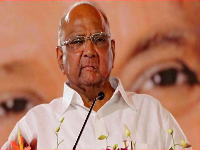 Maharashtra Election 2019: NCP Sharad Pawar Slams CM Devendra Fadanvis In Nagpur | Maharashtra Election 2019: नागपूरचे प्रतिनिधित्व करणाऱ्या मुख्यमंत्र्यांच्या शहरातच जास्त गुन्हे दाखल: शरद पवार Maharashtra Election 2019: NCP Sharad Pawar Slams CM Devendra Fadanvis In Nagpur | Maharashtra Election 2019: नागपूरचे प्रतिनिधित्व करणाऱ्या मुख्यमंत्र्यांच्या शहरातच जास्त गुन्हे दाखल: शरद पवार