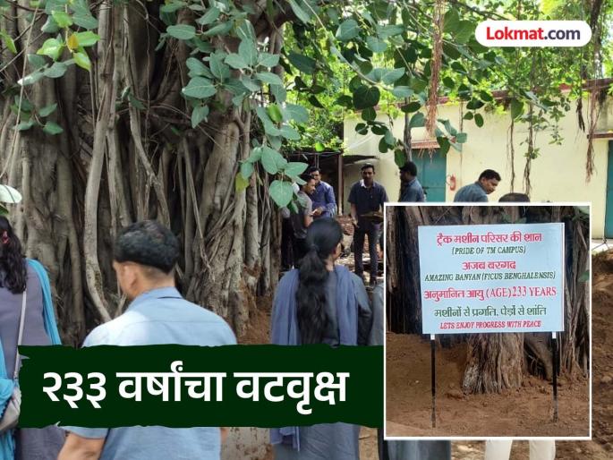 Like a great ascetic, a sage, he has been giving shelter for 233 years. | महान तपस्वी, ऋषिमुनीसारखा तो २३३ वर्षांपासून देतो आहे आसरा Like a great ascetic, a sage, he has been giving shelter for 233 years. | महान तपस्वी, ऋषिमुनीसारखा तो २३३ वर्षांपासून देतो आहे आसरा