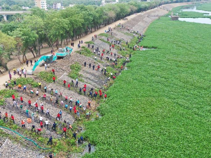 hands of the nagpurkar get ready to harvest water leaves | जलपर्णी काढण्यासाठी नागपुरकरांचे सरसावले हात hands of the nagpurkar get ready to harvest water leaves | जलपर्णी काढण्यासाठी नागपुरकरांचे सरसावले हात