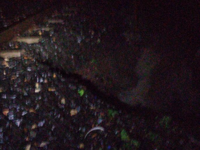 ballast of track on wardha ballarpur route washed away railway traffic disrupted | वर्धा -बल्लारपूर मार्गावरील ट्रॅकची गिट्टी वाहून गेली; रेल्वे वाहतूक विस्कळीत ballast of track on wardha ballarpur route washed away railway traffic disrupted | वर्धा -बल्लारपूर मार्गावरील ट्रॅकची गिट्टी वाहून गेली; रेल्वे वाहतूक विस्कळीत