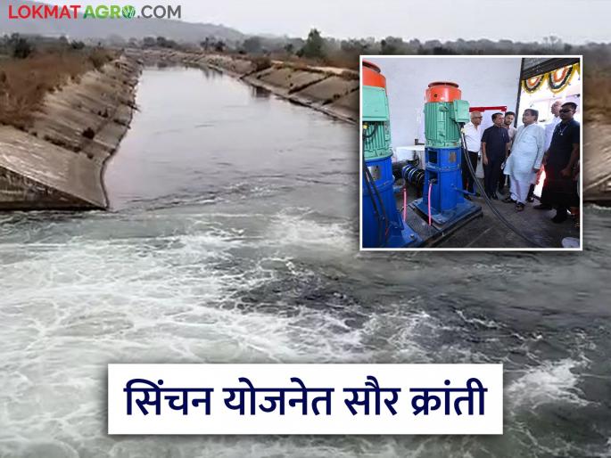 latest news Muradpur Upsa Irrigation Scheme: Modern solar powered irrigation project in Muradpur is a boon for farmers Read in detail | Muradpur Upsa Irrigation Scheme : मुरादपूरला सौरऊर्जेवर चालणारं आधुनिक सिंचन प्रकल्प शेतकऱ्यांसाठी वरदान वाचा सविस्तर latest news Muradpur Upsa Irrigation Scheme: Modern solar powered irrigation project in Muradpur is a boon for farmers Read in detail | Muradpur Upsa Irrigation Scheme : मुरादपूरला सौरऊर्जेवर चालणारं आधुनिक सिंचन प्रकल्प शेतकऱ्यांसाठी वरदान वाचा सविस्तर
