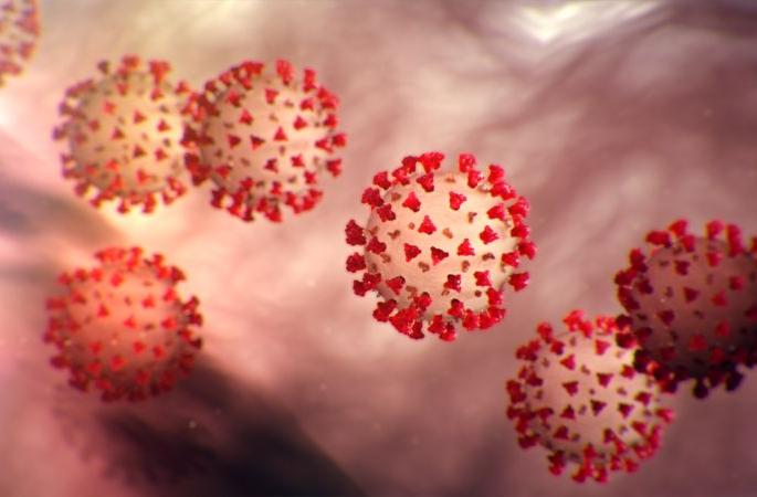Coronavirus in Nagpur: 56 patients positive in Nagpur: Patient high for the first time since May 25 | CoronaVirus in Nagpur : नागपुरात ५६ रुग्ण पॉझिटिव्ह : २५ मे नंतर पहिल्यांदाच रुग्णांचा उच्चांक Coronavirus in Nagpur: 56 patients positive in Nagpur: Patient high for the first time since May 25 | CoronaVirus in Nagpur : नागपुरात ५६ रुग्ण पॉझिटिव्ह : २५ मे नंतर पहिल्यांदाच रुग्णांचा उच्चांक