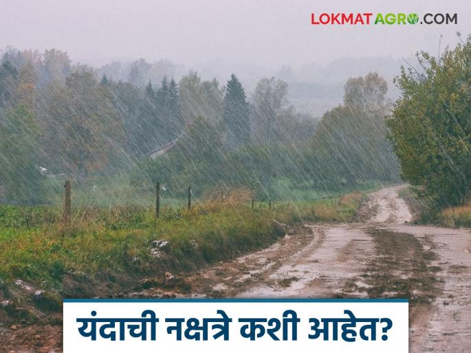 Latest News rain Update which nakshatra rain increased in 2025 see details | Rain Update : यंदा कुठल्या नक्षत्रात जोरदार पाऊस? अशी आहेत यंदाची नक्षत्रे  Latest News rain Update which nakshatra rain increased in 2025 see details | Rain Update : यंदा कुठल्या नक्षत्रात जोरदार पाऊस? अशी आहेत यंदाची नक्षत्रे
