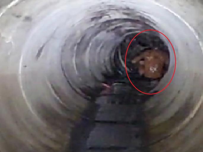 A person from Solapur entered a canal in Kolhapur creating chaos | सोलापूरच्या व्यक्तीचा कोल्हापुरात धिंगाणा, शिरला नाल्यातील जलवाहिनीत; अग्निशमन जवानांची धावपळ, मांत्रिकाला बोलविले, अन्.. A person from Solapur entered a canal in Kolhapur creating chaos | सोलापूरच्या व्यक्तीचा कोल्हापुरात धिंगाणा, शिरला नाल्यातील जलवाहिनीत; अग्निशमन जवानांची धावपळ, मांत्रिकाला बोलविले, अन्..