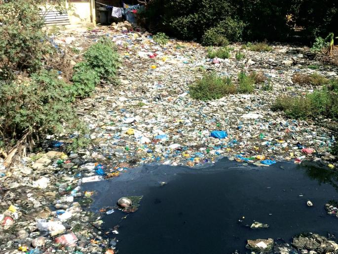 Mudhadha creek threatens existence, illegal construction, municipal corporation's eyes | मुर्धा खाडीचे अस्तित्व धोक्यात, बेकायदा भराव, बांधकामांकडे पालिकेचे डोळेझाक Mudhadha creek threatens existence, illegal construction, municipal corporation's eyes | मुर्धा खाडीचे अस्तित्व धोक्यात, बेकायदा भराव, बांधकामांकडे पालिकेचे डोळेझाक