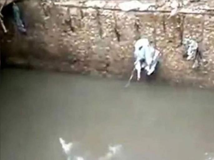 Worker dies after falling into drain, Incident at Poip in Sindhudurga | दारूच्या नशेत नाल्यात पडला, उठता न आल्याने पाण्यात गुदमरून कामगाराचा मृत्यू झाला; सिंधुदुर्गातील पोईप येथील घटना