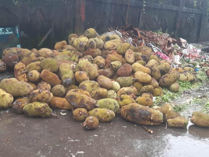 Rada for wet waste takes place in market committee | बाजार समितीमध्ये होतो ओल्या कचऱ्यासाठी राडा; कचरा उचलण्यावरून मतभेद Rada for wet waste takes place in market committee | बाजार समितीमध्ये होतो ओल्या कचऱ्यासाठी राडा; कचरा उचलण्यावरून मतभेद