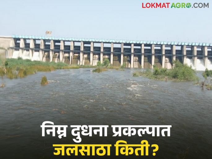 latest news Nimna Dudhana Prakalpa: Heavy rain in Partur; Water storage in Lower Dudhana Dam tripled Read in detail | Nimna Dudhana Prakalpa : परतुरमध्ये दमदार पाऊस; निम्न दुधना धरणात तिप्पट पाणीसाठा वाचा सविस्तर latest news Nimna Dudhana Prakalpa: Heavy rain in Partur; Water storage in Lower Dudhana Dam tripled Read in detail | Nimna Dudhana Prakalpa : परतुरमध्ये दमदार पाऊस; निम्न दुधना धरणात तिप्पट पाणीसाठा वाचा सविस्तर
