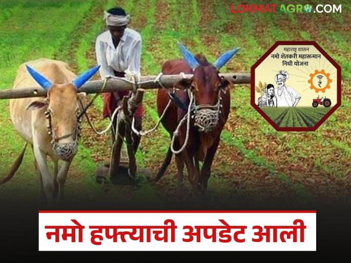 Latest news Pm Kisan Scheme Funds have been received for 7th week of Namo Shetkari Samman yojna See details | नमो शेतकरी सन्मानचा 7 वा हफ्ता वितरणासाठी निधी आला, कधीपर्यंत मिळणार हफ्ता? 