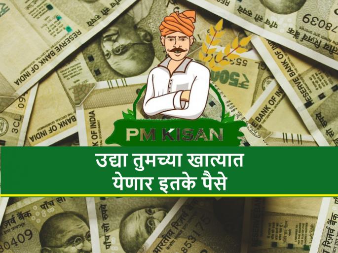 The installment of PM Kisan and Namo Shetkari Mahasanman Yojana will be deposited in the farmers' accounts by PM Narendra Modi | पीएम किसान आणि नमो शेतकरी महासन्मान योजनेचा हप्ता उद्या शेतकऱ्यांच्या खात्यात येणार The installment of PM Kisan and Namo Shetkari Mahasanman Yojana will be deposited in the farmers' accounts by PM Narendra Modi | पीएम किसान आणि नमो शेतकरी महासन्मान योजनेचा हप्ता उद्या शेतकऱ्यांच्या खात्यात येणार