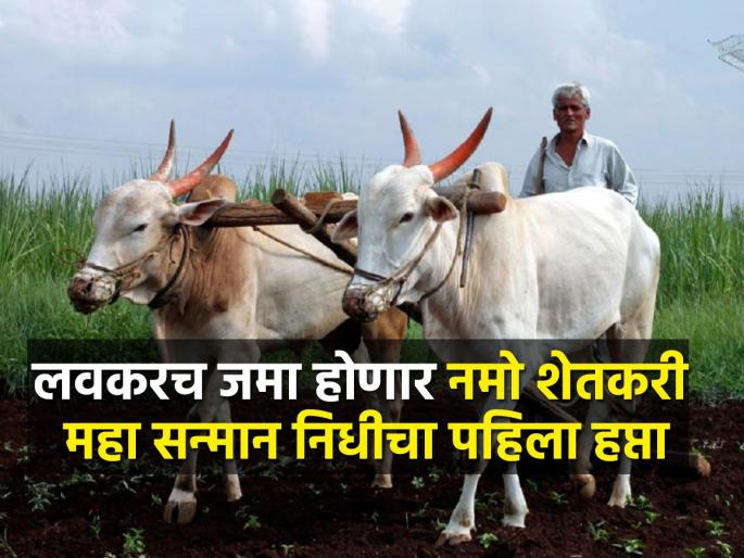Approval to disburse 1720 crores for the first installment of 'Namo Shetkari Maha Samman' fund scheme | शेतकऱ्यांना दिवाळीपूर्वी भेट; खात्यात येणार २ हजार रुपये Approval to disburse 1720 crores for the first installment of 'Namo Shetkari Maha Samman' fund scheme | शेतकऱ्यांना दिवाळीपूर्वी भेट; खात्यात येणार २ हजार रुपये