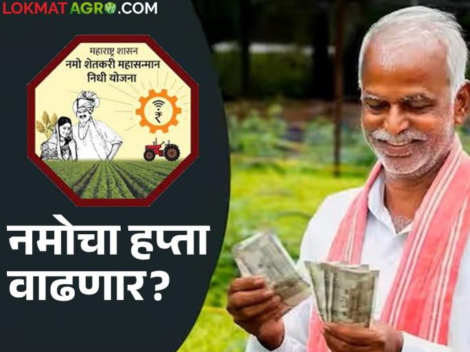 Namo Kisan Hapta : Will the installment of Namo Shetkari Samman Yojana increase? Know the details | Namo Kisan Hapta : नमो शेतकरी सन्मान योजनेच्या हप्त्यात वाढ होणार? जाणून घ्या सविस्तर Namo Kisan Hapta : Will the installment of Namo Shetkari Samman Yojana increase? Know the details | Namo Kisan Hapta : नमो शेतकरी सन्मान योजनेच्या हप्त्यात वाढ होणार? जाणून घ्या सविस्तर