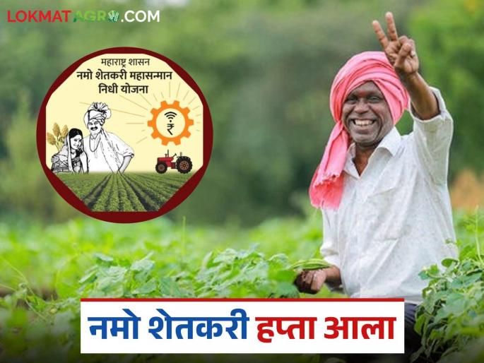 Latest News Namo Shetkari Yojana Namo Shetkari Yojana's 6th Installment distribution begins, know the details | Namo Shetkari Hafta : शेतकरी बांधवानो, मोबाईलवर मॅसेज चेक करा, नमोचा सहावा हफ्ता आला! Latest News Namo Shetkari Yojana Namo Shetkari Yojana's 6th Installment distribution begins, know the details | Namo Shetkari Hafta : शेतकरी बांधवानो, मोबाईलवर मॅसेज चेक करा, नमोचा सहावा हफ्ता आला!