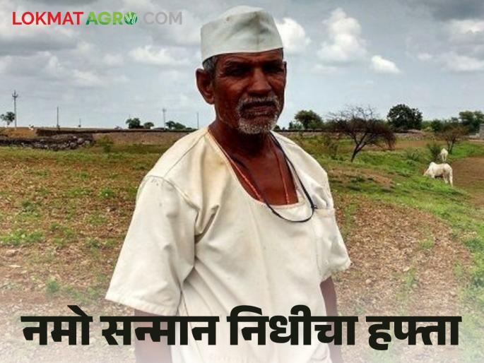Latest News Namo shetkari Hafta 6th installment of Namo Kisan Shetkari Samman Yojana | Namo Shetkari Hapta : पीएम किसानचे २ हजार आले, नमो शेतकरी सन्मान योजनेचे कधी? वाचा सविस्तर  Latest News Namo shetkari Hafta 6th installment of Namo Kisan Shetkari Samman Yojana | Namo Shetkari Hapta : पीएम किसानचे २ हजार आले, नमो शेतकरी सन्मान योजनेचे कधी? वाचा सविस्तर