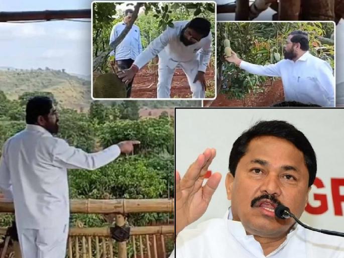 Chief Minister should pay attention to the drought in the state instead of staying in the village farm says Nana Patole | मुख्यमंत्र्यांनी गावी शेतात थांबण्यापेक्षा राज्यातील दुष्काळाकडे लक्ष द्यावे : नाना पटोले Chief Minister should pay attention to the drought in the state instead of staying in the village farm says Nana Patole | मुख्यमंत्र्यांनी गावी शेतात थांबण्यापेक्षा राज्यातील दुष्काळाकडे लक्ष द्यावे : नाना पटोले