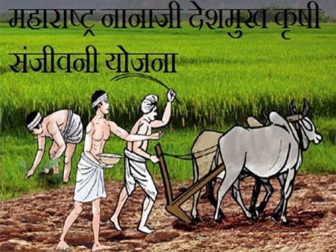 Selection to 22 villages in Soygaon taluka for the Krishi Sanjivani Yojana | सोयगाव तालुक्यातील २२ गावांची कृषी संजीवनी योजनेसाठी निवड 
