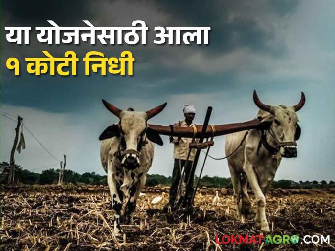 Approval of disbursement of funds of Rs.1.00 crore for Nanaji Deshmukh Agricultural Sanjeevani Project | नानाजी देशमुख कृषि संजीवनी प्रकल्पासाठी रु.१.०० कोटी निधी वितरणास मान्यता Approval of disbursement of funds of Rs.1.00 crore for Nanaji Deshmukh Agricultural Sanjeevani Project | नानाजी देशमुख कृषि संजीवनी प्रकल्पासाठी रु.१.०० कोटी निधी वितरणास मान्यता