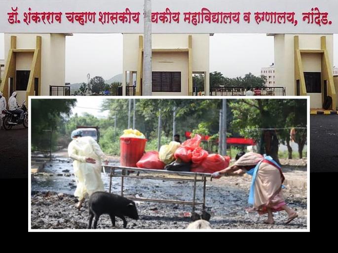 Shocking! Nanded's District Hospital in discussion again; A patient died after being attacked by pigs | नांदेडचे जिल्हा रुग्णालय पुन्हा चर्चेत; परिसरातील डुकरांच्या हल्ल्यात रुग्णाचा मृत्यू Shocking! Nanded's District Hospital in discussion again; A patient died after being attacked by pigs | नांदेडचे जिल्हा रुग्णालय पुन्हा चर्चेत; परिसरातील डुकरांच्या हल्ल्यात रुग्णाचा मृत्यू