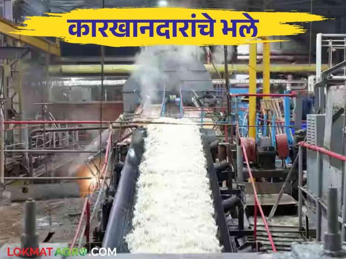Sugar factory: farmers Can get a good 'FRP' in this year? | Sugar factory: कारखानदार यंदा तरी शेतकऱ्यांचे भले करणार का; 'एफआरपी' वाढवून मिळेल का? Sugar factory: farmers Can get a good 'FRP' in this year? | Sugar factory: कारखानदार यंदा तरी शेतकऱ्यांचे भले करणार का; 'एफआरपी' वाढवून मिळेल का?