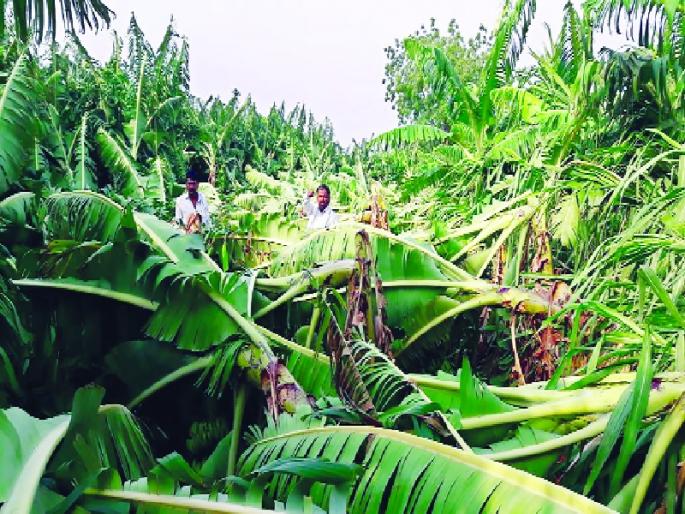 Pre-monsoon tension in Nanded district | मान्सूनपूर्वच्या तडाख्याने नांदेड जिल्ह्यात दाणादाण Pre-monsoon tension in Nanded district | मान्सूनपूर्वच्या तडाख्याने नांदेड जिल्ह्यात दाणादाण