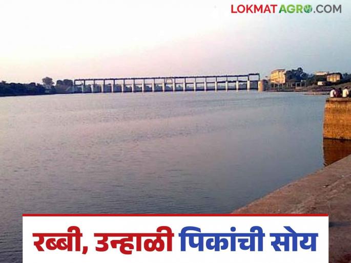 Farmers don't need to worry about irrigation; 'this' percentage of water available for irrigation Read in detail | शेतकऱ्यांनो सिंचनाची काळजी नको; 'इतके' टक्के पाणीसाठा उपलब्ध वाचा सविस्तर Farmers don't need to worry about irrigation; 'this' percentage of water available for irrigation Read in detail | शेतकऱ्यांनो सिंचनाची काळजी नको; 'इतके' टक्के पाणीसाठा उपलब्ध वाचा सविस्तर