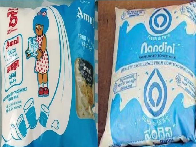 Nandini vs Amul milk controversy boils over In Karnataka, politics over milk on the eve of elections | कर्नाटकात नंदिनी विरुद्ध अमूल वादाला उकळी, निवडणुकीच्या तोंडावरच दुधावरुन राजकारण Nandini vs Amul milk controversy boils over In Karnataka, politics over milk on the eve of elections | कर्नाटकात नंदिनी विरुद्ध अमूल वादाला उकळी, निवडणुकीच्या तोंडावरच दुधावरुन राजकारण
