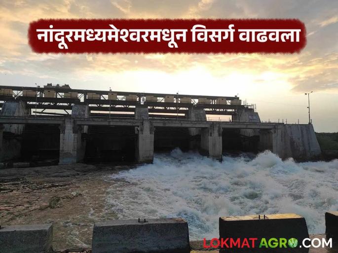 Latest news Jayakwadi dam will be full, 19 thousand 717 cusecs will be discharged from Nandur Madhyameshwar | जायकवाडी फुल्ल होणार, नांदुरमध्यमेश्वरमधुन 19 हजार 717 क्युसेक्सने विसर्ग Latest news Jayakwadi dam will be full, 19 thousand 717 cusecs will be discharged from Nandur Madhyameshwar | जायकवाडी फुल्ल होणार, नांदुरमध्यमेश्वरमधुन 19 हजार 717 क्युसेक्सने विसर्ग