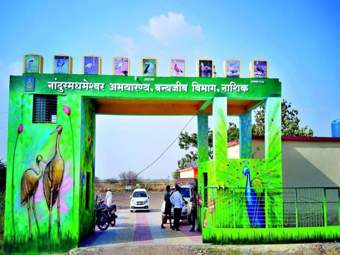 'No-Entry' at Kalsubai-Harishchandragarh Sanctuary with NandurMadheshwar | नांदूरमधमेश्वरसह कळसुबाई-हरिश्चंद्रगड अभयारण्यात ‘नो-एन्ट्री’ 'No-Entry' at Kalsubai-Harishchandragarh Sanctuary with NandurMadheshwar | नांदूरमधमेश्वरसह कळसुबाई-हरिश्चंद्रगड अभयारण्यात ‘नो-एन्ट्री’