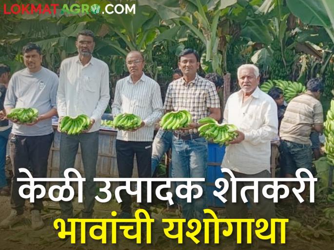 Latest News Success story of nandurbar banana producer brothers, export of banana to Iran | केळी उत्पादक शेतकरी भावांची यशोगाथा, पहिल्यांदाच इराणला केळी निर्यात  Latest News Success story of nandurbar banana producer brothers, export of banana to Iran | केळी उत्पादक शेतकरी भावांची यशोगाथा, पहिल्यांदाच इराणला केळी निर्यात
