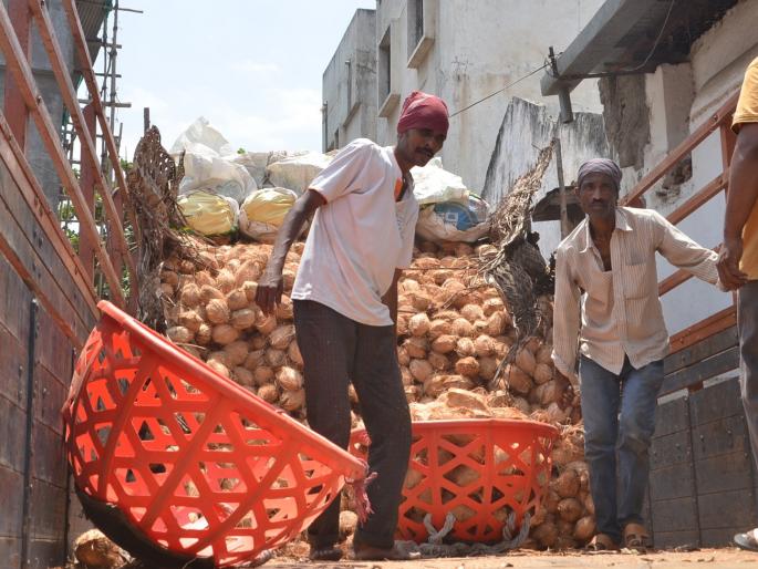 7.50 lakh coconuts burst in front of Hanuman in Chhatrapati Sambhajinagar; 30 trucks of goods arrived from three states | छत्रपती संभाजीनगरात हनुमानासमोर फुटले ७.५० लाख नारळ; तीन राज्यांतून आला ३० ट्रक माल 7.50 lakh coconuts burst in front of Hanuman in Chhatrapati Sambhajinagar; 30 trucks of goods arrived from three states | छत्रपती संभाजीनगरात हनुमानासमोर फुटले ७.५० लाख नारळ; तीन राज्यांतून आला ३० ट्रक माल