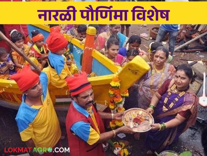 Narali Purnima: Fishermans how to Celebrate Narali Purnima Festival | Narali Purnima : कोळीबांधव कशी साजरी करतात नारळी पौर्णिमा Narali Purnima: Fishermans how to Celebrate Narali Purnima Festival | Narali Purnima : कोळीबांधव कशी साजरी करतात नारळी पौर्णिमा