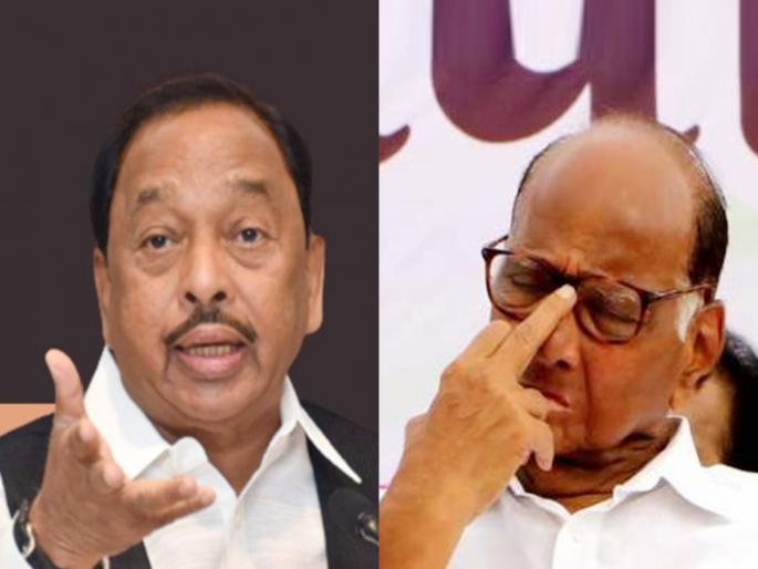 union minister and bjp leader narayan rane replied ncp chief sharad pawar criticism on vedanta foxconn project | Maharashtra Politics: “शरद पवार ४ वेळा मुख्यमंत्री होते, औद्योगिक क्रांती का नाही झाली?”; नारायण राणेंचा रोकडा सवाल union minister and bjp leader narayan rane replied ncp chief sharad pawar criticism on vedanta foxconn project | Maharashtra Politics: “शरद पवार ४ वेळा मुख्यमंत्री होते, औद्योगिक क्रांती का नाही झाली?”; नारायण राणेंचा रोकडा सवाल