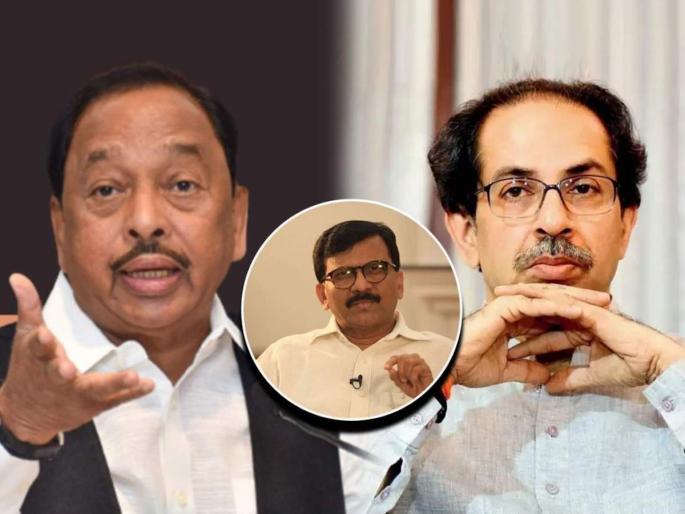 bjp leader minister narayan rane targets shiv sena mp sanjay raut criticise uddhav thackeray | हे खासदार आहेत ते माझंच पाप, नारायण राणेंचा संजय राऊतांवर टीकेचा बाण