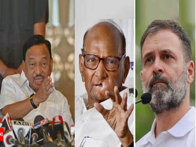 bjp mp narayan rane replied opposition over politics on shivaji maharaj statue collapsed in malvan | “राहुल गांधींचा धर्मच कळत नाही, शरद पवारांनी किती देवळे बांधली”; नारायण राणेंचा थेट सवाल bjp mp narayan rane replied opposition over politics on shivaji maharaj statue collapsed in malvan | “राहुल गांधींचा धर्मच कळत नाही, शरद पवारांनी किती देवळे बांधली”; नारायण राणेंचा थेट सवाल