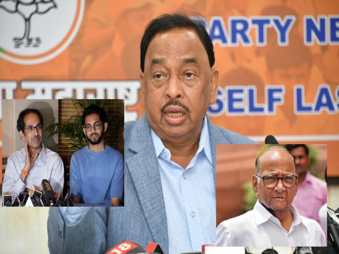 'Uddhav and Aditya Thackeray are responsible for Shiv Sena's demise': Narayan Rane | 'शिवसेना संपायला उद्धव आणि आदित्य ठाकरेच जबाबदार,आता शिवसेना कदापि उभी राहणार नाही', नारायण राणेंचा टोला 'Uddhav and Aditya Thackeray are responsible for Shiv Sena's demise': Narayan Rane | 'शिवसेना संपायला उद्धव आणि आदित्य ठाकरेच जबाबदार,आता शिवसेना कदापि उभी राहणार नाही', नारायण राणेंचा टोला