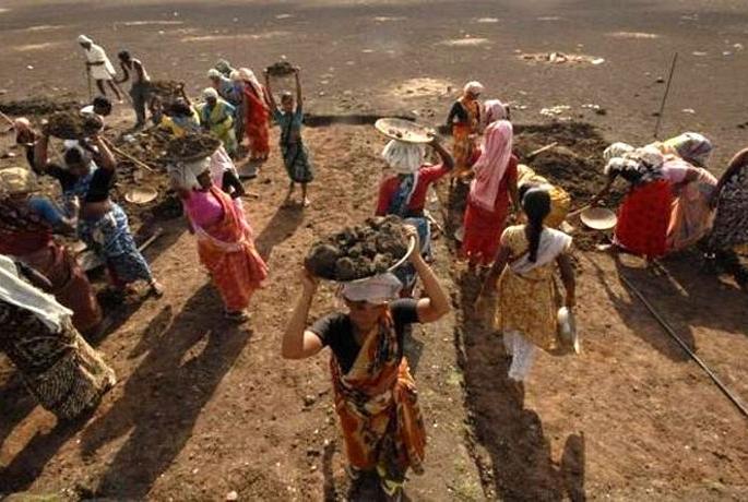 Social audit of Narega works in three talukas of Akola district completed! | तीन तालुक्यांतील ‘नरेगा’ कामांचे ‘सोशल आॅडिट’ पूर्ण! Social audit of Narega works in three talukas of Akola district completed! | तीन तालुक्यांतील ‘नरेगा’ कामांचे ‘सोशल आॅडिट’ पूर्ण!