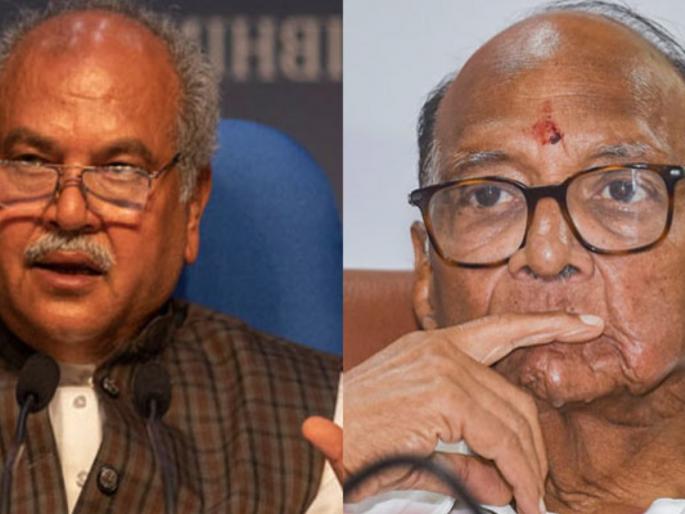 narendra singh tomar said sharad pawar will change his stand and explain benefits to our farmers | "शरद पवारांसारखे अनुभवी नेते चुकीच्या पद्धतीने तथ्य मांडत आहेत": नरेंद्र सिंह तोमर narendra singh tomar said sharad pawar will change his stand and explain benefits to our farmers | "शरद पवारांसारखे अनुभवी नेते चुकीच्या पद्धतीने तथ्य मांडत आहेत": नरेंद्र सिंह तोमर