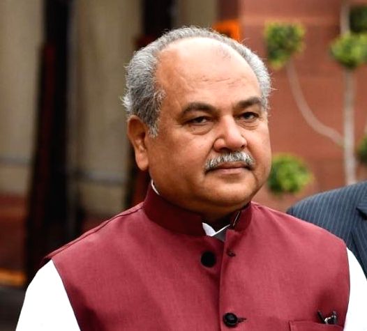 New agricultural laws not implemented again - Agriculture Minister Narendra Singh Tomar; Move from the previous role | Narendra Singh Tomar : नवे कृषी कायदे पुन्हा अमलात नाहीत- कृषिमंत्री नरेंद्रसिंह तोमर; आधीच्या भूमिकेपासून घूमजाव New agricultural laws not implemented again - Agriculture Minister Narendra Singh Tomar; Move from the previous role | Narendra Singh Tomar : नवे कृषी कायदे पुन्हा अमलात नाहीत- कृषिमंत्री नरेंद्रसिंह तोमर; आधीच्या भूमिकेपासून घूमजाव
