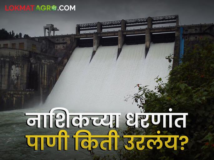 Latest News 29 percent water remaining in dams in Nashik district | गंगापूर धरणसाठा 46 टक्क्यांवर, नाशिक जिल्ह्यातील धरणांत 29 टक्के पाणी शिल्लक Latest News 29 percent water remaining in dams in Nashik district | गंगापूर धरणसाठा 46 टक्क्यांवर, नाशिक जिल्ह्यातील धरणांत 29 टक्के पाणी शिल्लक