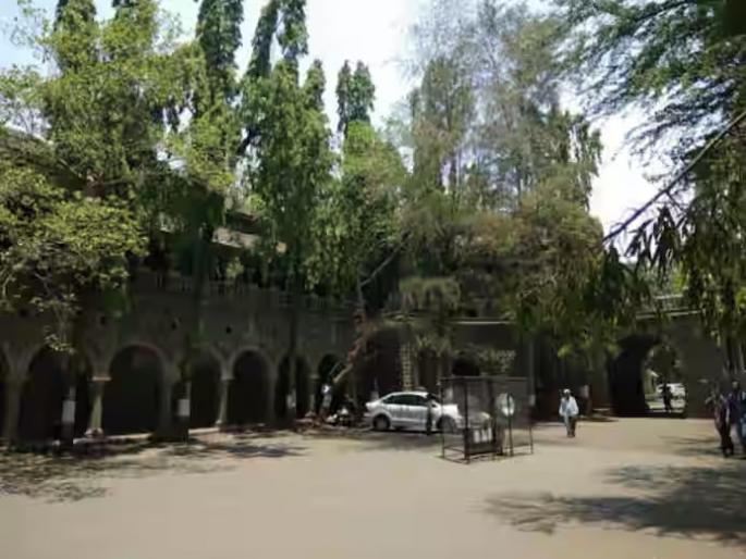 transfer of resident deputy collector bhagwat doifode rajendra wagh is the new rdc of nashik | नाशिक महसूल विभाग बदल्या: निवासी उपजिल्हाधिकारी भागवत डोईफोडे यांची बदली; राजेंद्र वाघ हे नाशिकचे नवे 'आरडीसी'