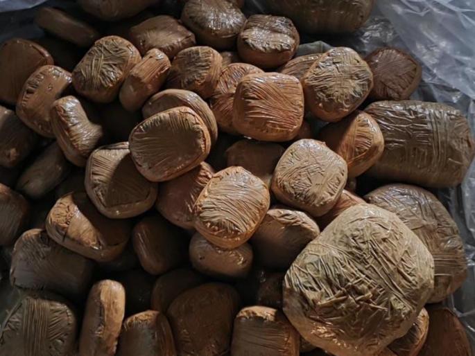 nashik rural police seized marijuana worth 10 lakhs in dindori taluka | नाशिक ग्रामीण पोलिसांच्या कारवाईमध्ये दिंडोरी तालुक्यात १० लाखांचा गांजा जप्त nashik rural police seized marijuana worth 10 lakhs in dindori taluka | नाशिक ग्रामीण पोलिसांच्या कारवाईमध्ये दिंडोरी तालुक्यात १० लाखांचा गांजा जप्त