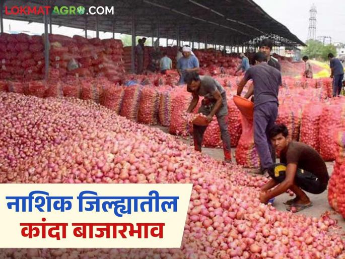 Latest News Kanda Bajarbhav Today Kanda market price in nashik district Read in detail | Kanda Bajarbhav : नाशिक जिल्ह्यातील बाजारांत कांद्याला काय भाव मिळतोय? वाचा सविस्तर  Latest News Kanda Bajarbhav Today Kanda market price in nashik district Read in detail | Kanda Bajarbhav : नाशिक जिल्ह्यातील बाजारांत कांद्याला काय भाव मिळतोय? वाचा सविस्तर