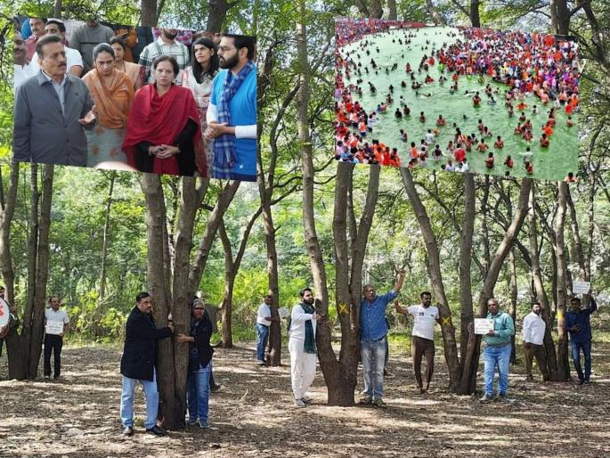 Sadhugram Nashik: Tree felling for sadhus or opportunists, why has the debate over austerities increased? | Sadhugram Nashik: वृक्षतोड साधूंसाठी की संधिसाधूंसाठी, तपोवनाचा वाद का वाढला?