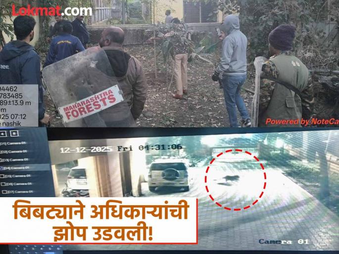 Nashik Leopard: Leopard enters Nashik Inspector General of Police's office premises, seen on CCTV | Nashik Leopard: बिबट्याची नाशिक पोलीस महानिरीक्षकांच्या कार्यालय आवारातच एन्ट्री, सीसीटीव्हीमध्ये दिसला
