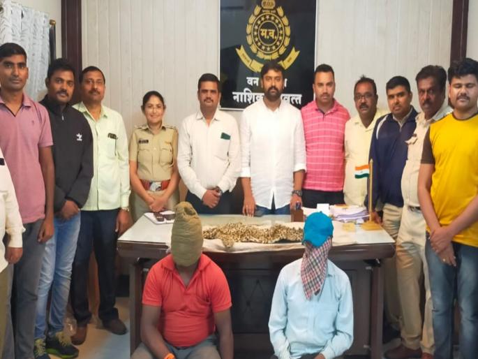 5 month old calf poached again in nashik for smuggling leopard skin | बिबट्याच्या कातडी तस्करीसाठी नाशिकमध्ये पाच महिन्यांच्या बछड्याची पुन्हा शिकार 5 month old calf poached again in nashik for smuggling leopard skin | बिबट्याच्या कातडी तस्करीसाठी नाशिकमध्ये पाच महिन्यांच्या बछड्याची पुन्हा शिकार