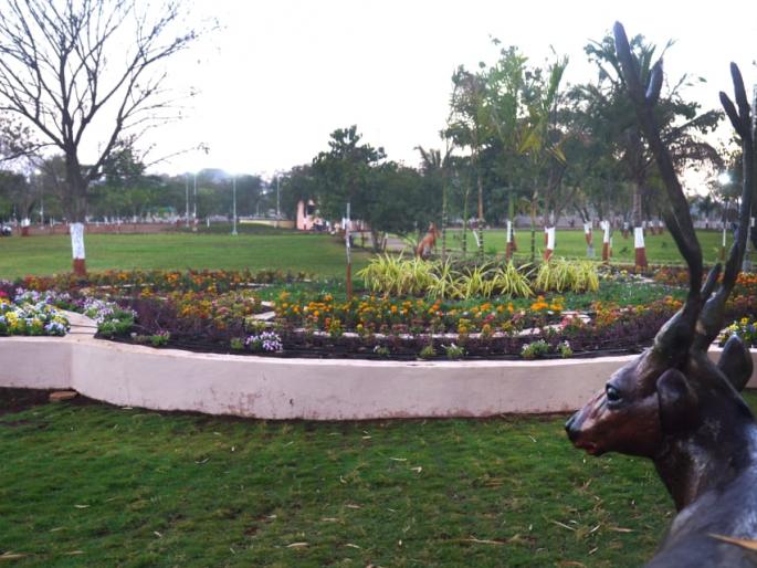 nashik municipal corporation created kanetkar garden on forest land and department wants it to back | नाशिक मनपाने कानेटकर उद्यान साकारले चक्क वन जमिनीवर; वनखाते म्हणाले आमची जागा आम्हाला परत द्या nashik municipal corporation created kanetkar garden on forest land and department wants it to back | नाशिक मनपाने कानेटकर उद्यान साकारले चक्क वन जमिनीवर; वनखाते म्हणाले आमची जागा आम्हाला परत द्या